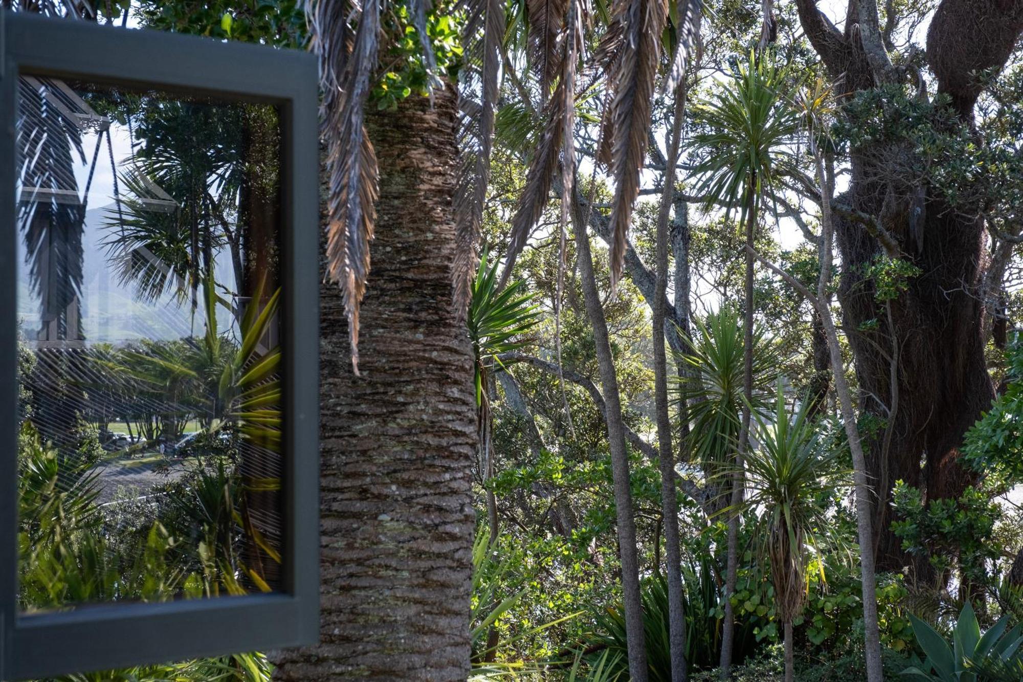 Bow Street Apartments & Cottage Raglan Exterior foto